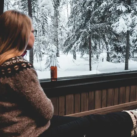 Venejoen Piilo - Paere Dağ evi