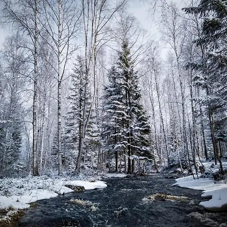 Dağ evi Venejoen Piilo - Paere *